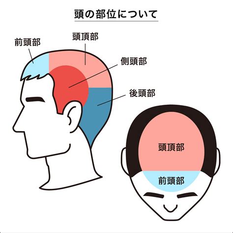 頭頂頭痛 原因|頭頂部の頭痛：医師が考える原因と対処法｜症状辞典 